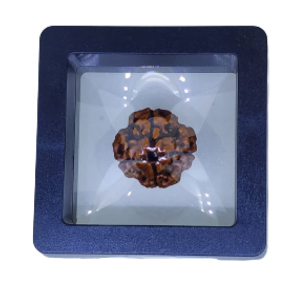 A brown rudraksha bead resting on an open white notebook beside a fountain pen