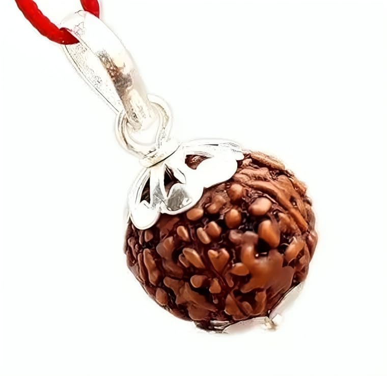 Natural 8 Mukhi Rudraksha bead, lab certified, showing eight distinct natural faces