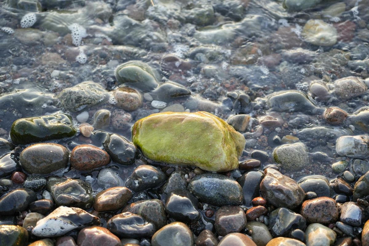 Pale blue aquamarine and golden citrine crystals resting on wet grey stone
