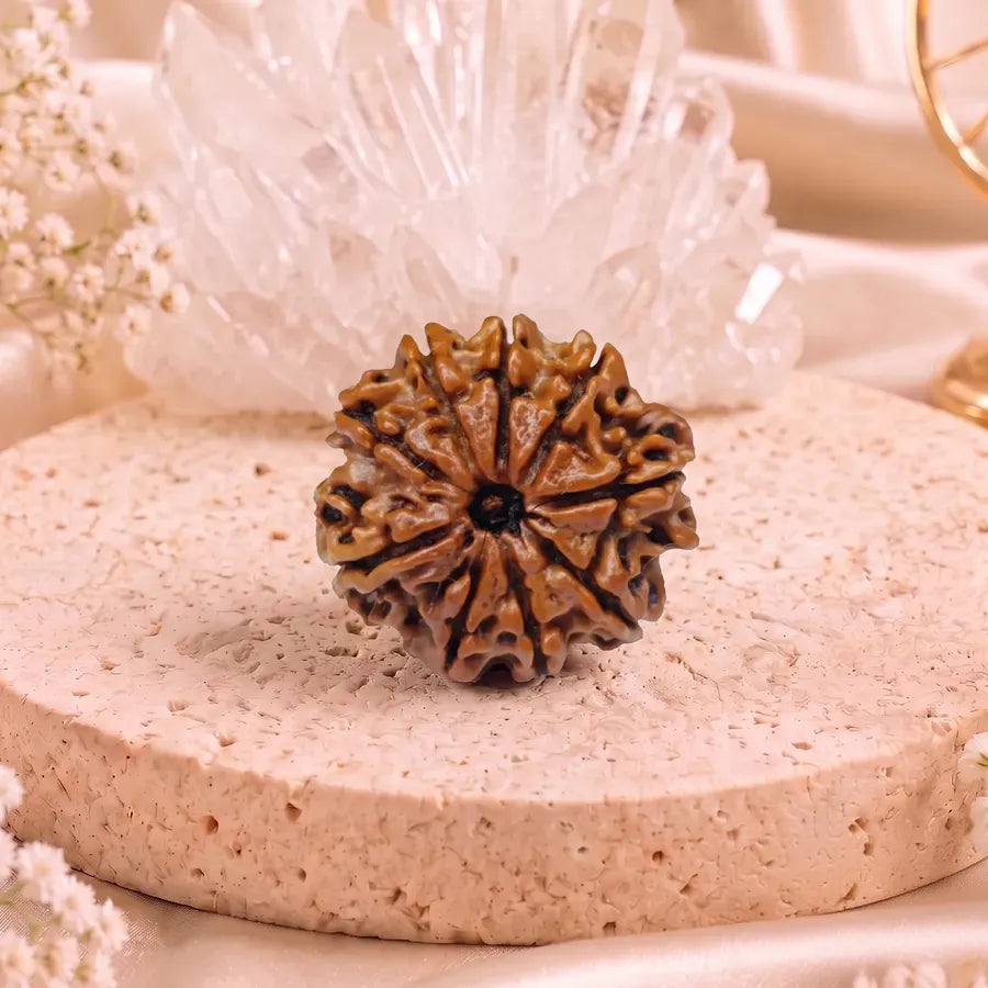 Rudraksha Pendants
